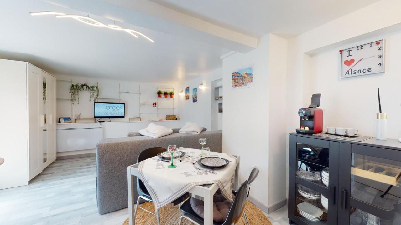 Studio Avec Parking Rue De La Semm Colmar Exterior foto